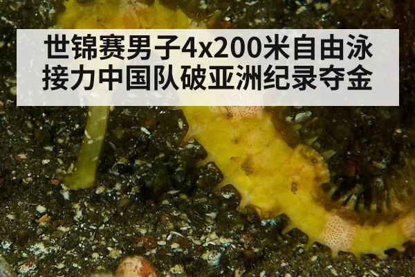 世锦赛男子4x200米自由泳接力中国队破亚洲纪录夺金
